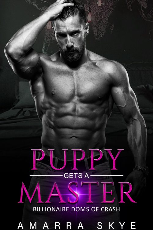 Puppy Gets a Master